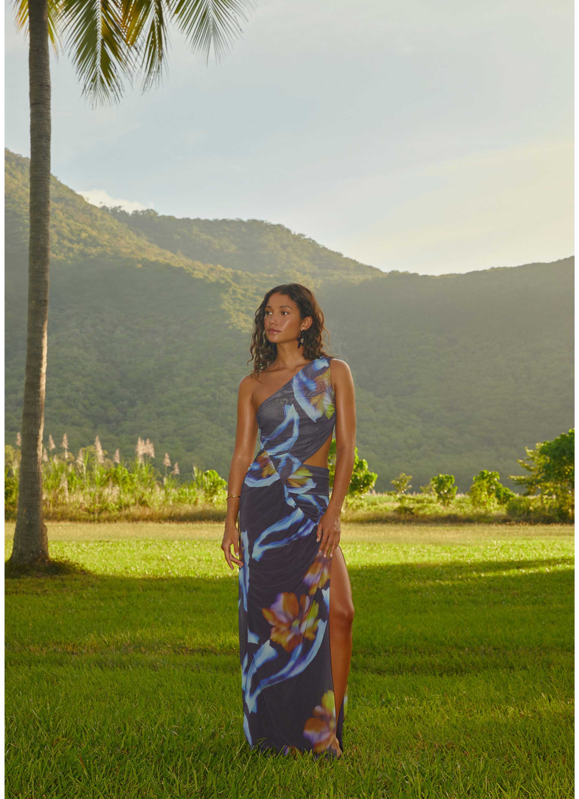 Alternative view of Zanzibar Maxi Dress - Dark Floral